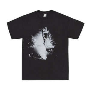 Limosine - "Crick" T